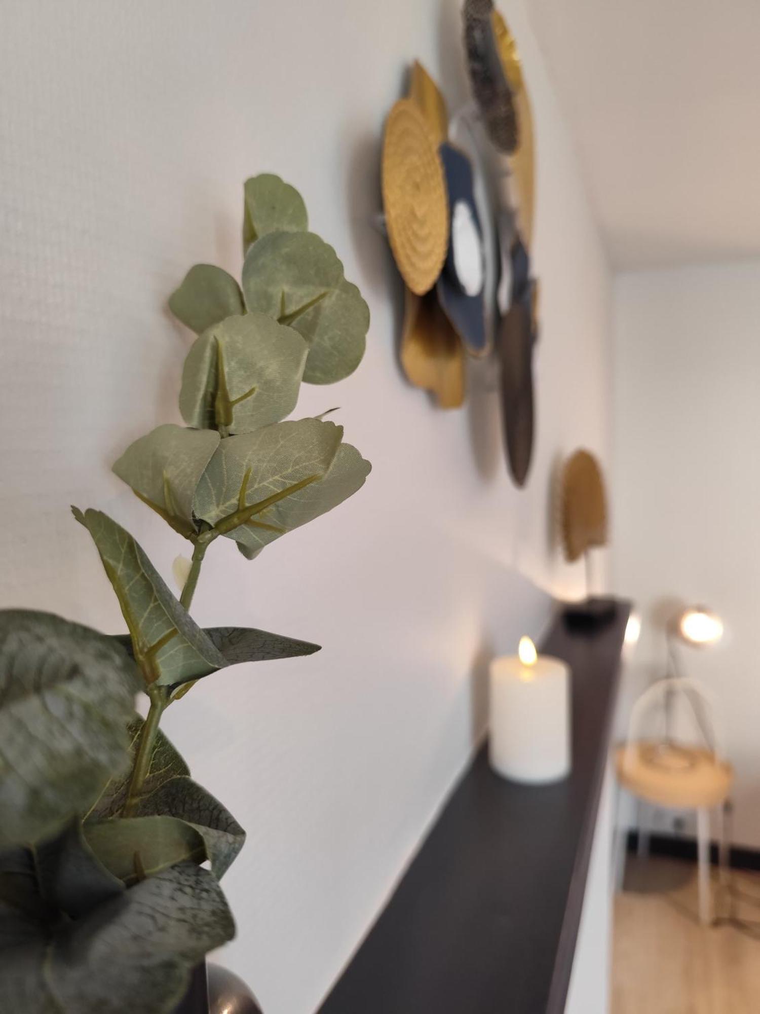 Le Nid 2 Quimper By Nid'Ouest Apartman Kültér fotó